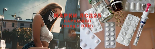 эйфоретик Богданович