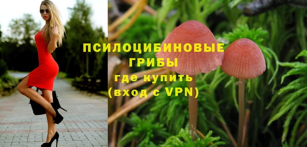 ГАЛЛЮЦИНОГЕННЫЕ ГРИБЫ Белокуриха