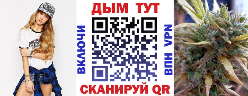 МАРИХУАНА план  купить  цена  Надым 